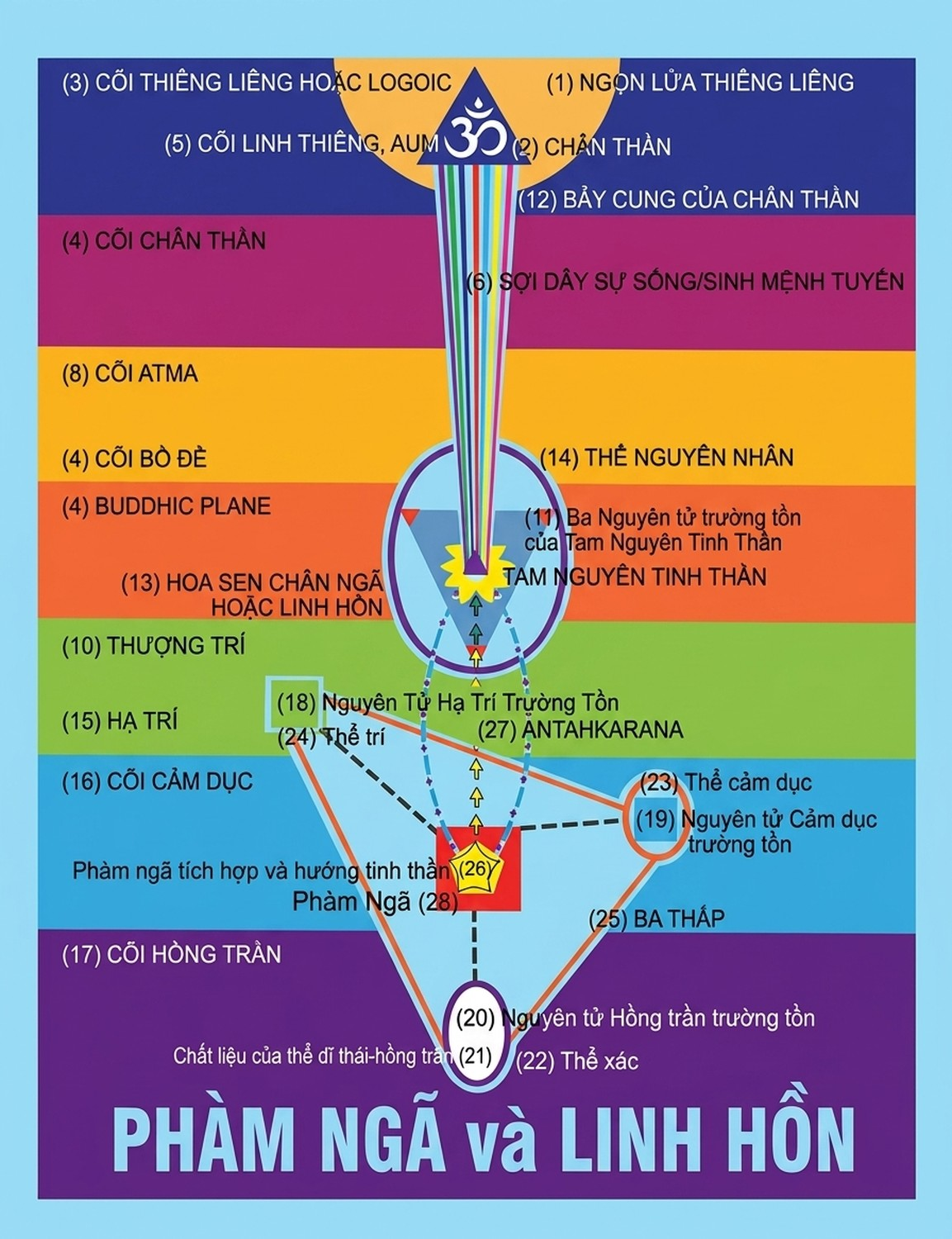 00015.jpeg @url:https://minhtrietmoi.com/wp-content/uploads/pictures/meditation-theory-and-prratices-song-ngu_upscaled_20260719_021409-07.webp