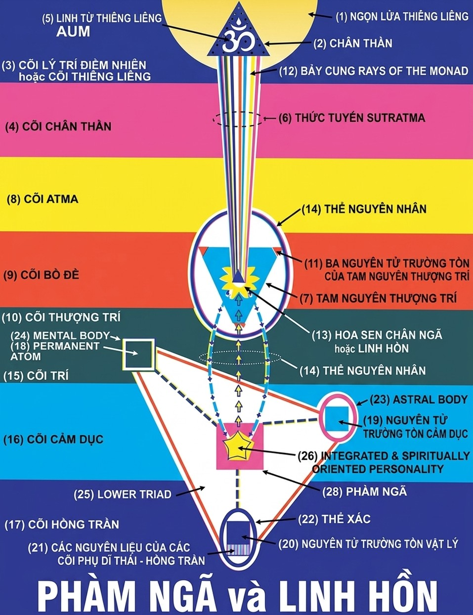 00006.jpeg @url:https://minhtrietmoi.com/wp-content/uploads/pictures/the-egoic-lotus_-song-ngu_upscaled_20260719_021859-14.webp