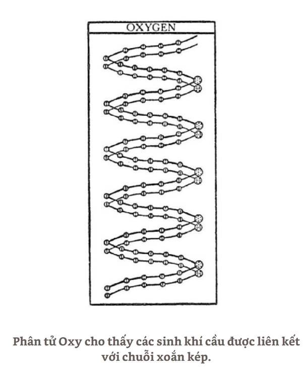A black and white drawing of a spiral pattern



AI-generated content may be incorrect. @url:https://minhtrietmoi.com/wp-content/uploads/pictures/the-human-aura-douglas-m.-baker-song-ng-04.jpg